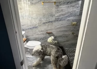 Bathroom Remodeling Services (3)